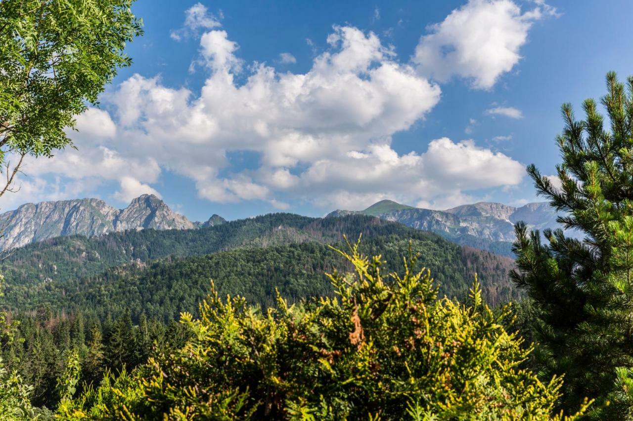Domy Sywarne Z Sauna I Widokiem Na Gory Kościelisko Extérieur photo
